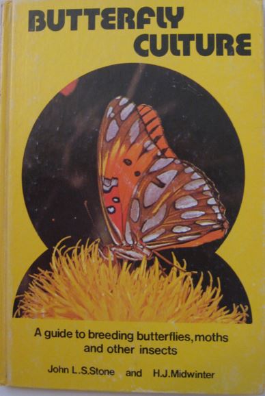 Butterfly Culture by Stone & Midwinter - cover
